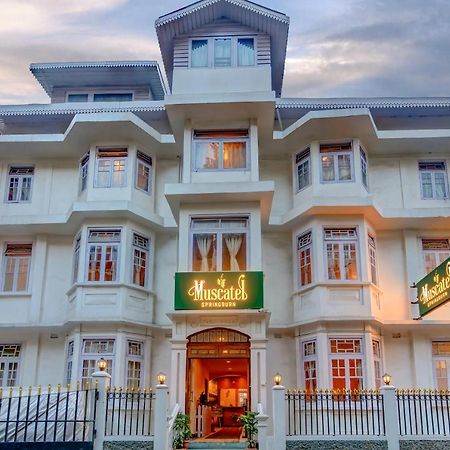 Muscatel Spring Burn - 100 Mts From Mall Road ดาร์จีลิง ภายนอก รูปภาพ